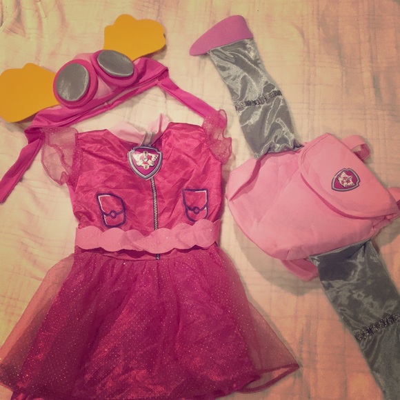 skye paw patrol costume